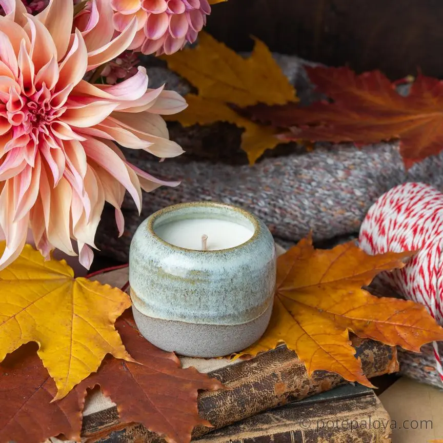 картинка Свеча План Б "Мускусный папирус" 130 мл - DishWishes.Ru