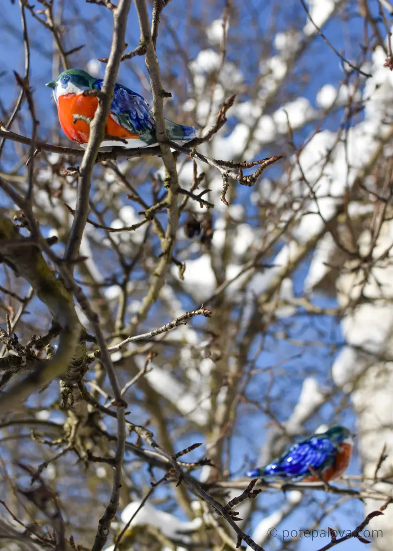 DSC_0897.jpg