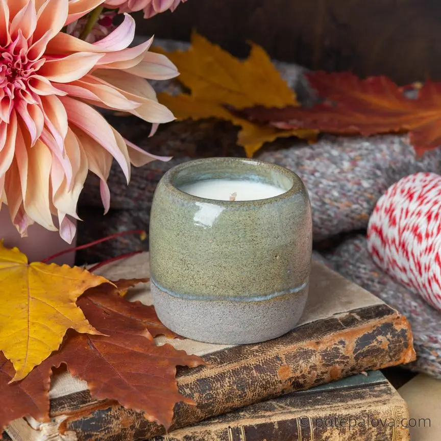 картинка Свеча План Б "Кашемировое дерево" 160 мл - DishWishes.Ru