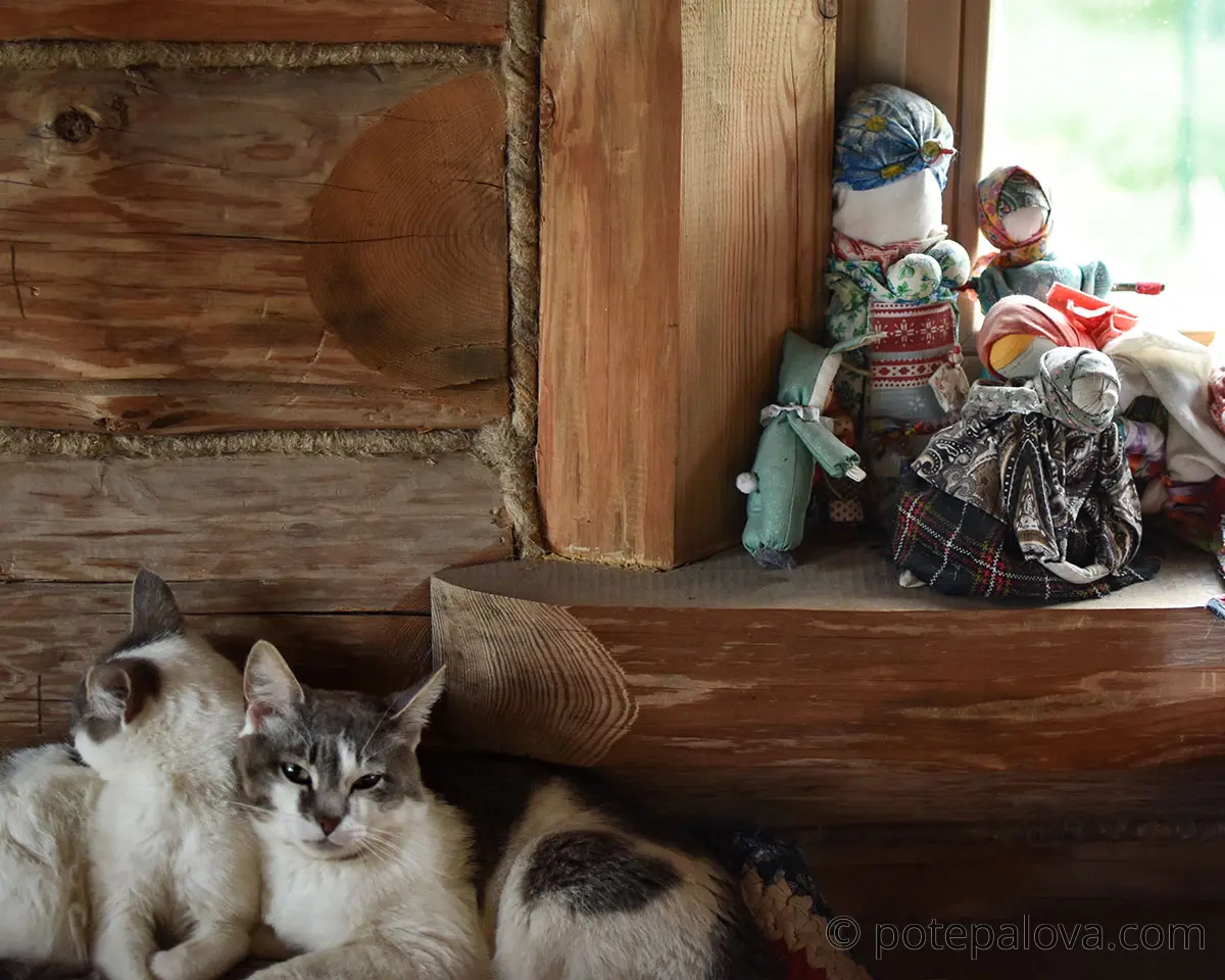 DSC_0166.jpg DSC_0166.jpg