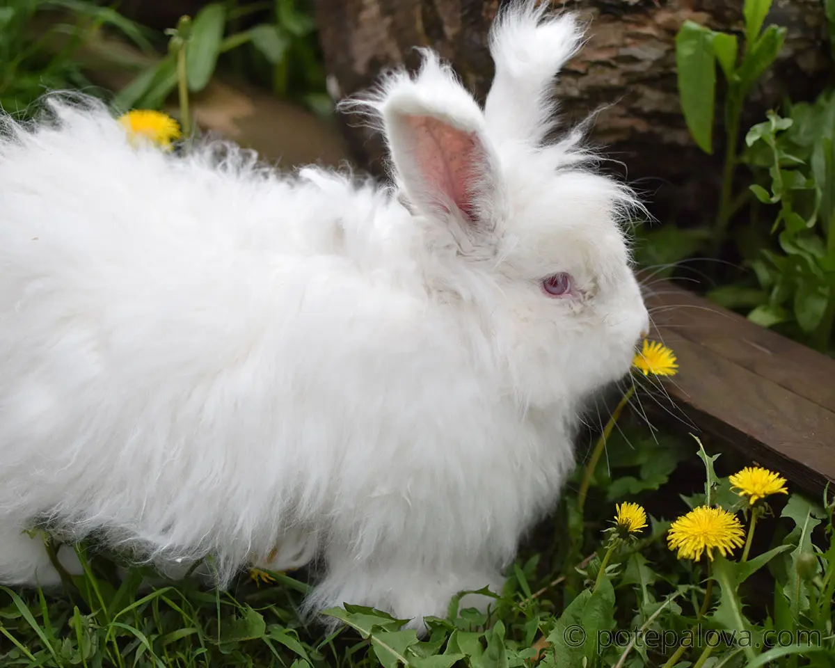 DSC_0179.jpg DSC_0179.jpg